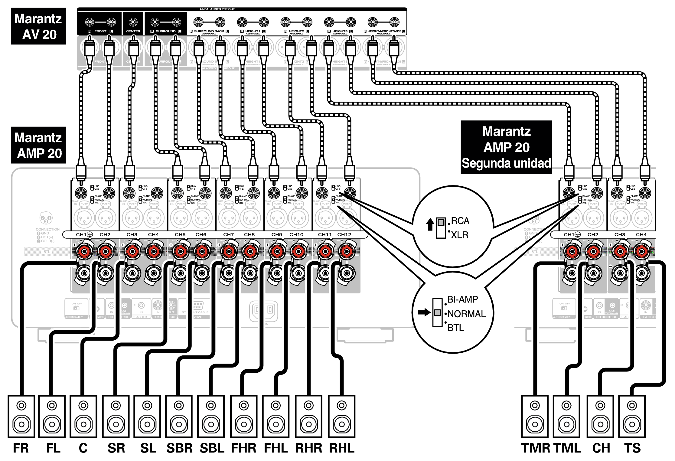 Conne SP Unbalanced AMP20